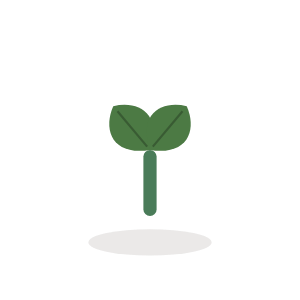 Basil