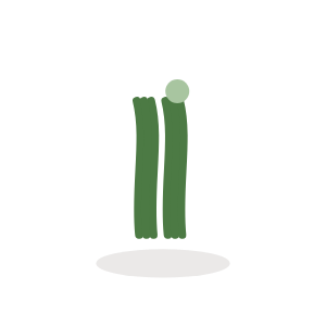 Chives