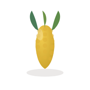 Corn