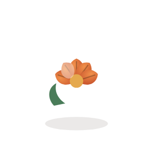 Nasturtium