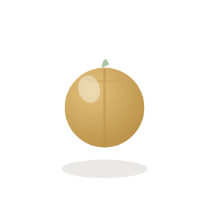Onion