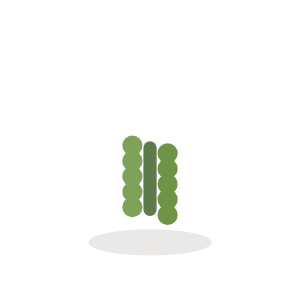 Oregano